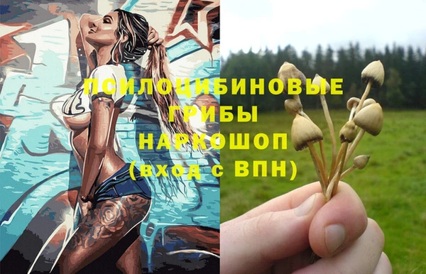 индика Бронницы